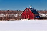 Red Barn In Snowscape_14603